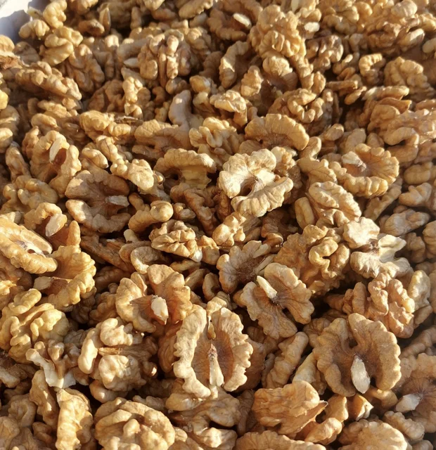 خرید عمده مغز گردو لوکس ایرانی کارتن های ۱۰ کیلویی